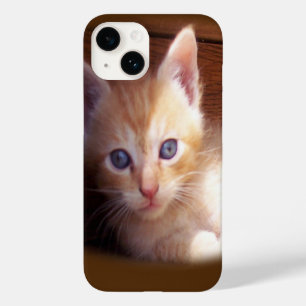 Katzen Case-Mate iPhone 14 Hülle