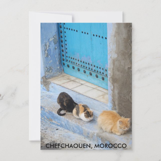 Katzen, Chefchaouen, Marokko-Karte (Vorderseite)