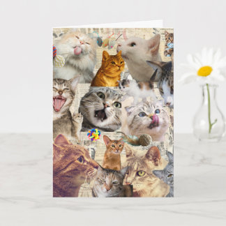 Katzen-Collage-Grußkarte Karte