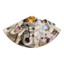 Katzen Collage / Montage von Katzen Papierpartyhut