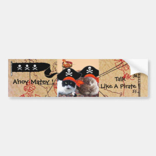 KATZEN DER PIRATEN ANTIQUE PIRATES TREASPAKETE UND AUTOAUFKLEBER