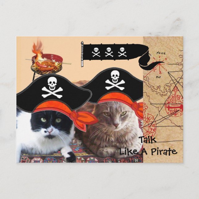 KATZEN DER PIRATEN ANTIQUE PIRATES TREASPAKETE UND POSTKARTE (Vorderseite)