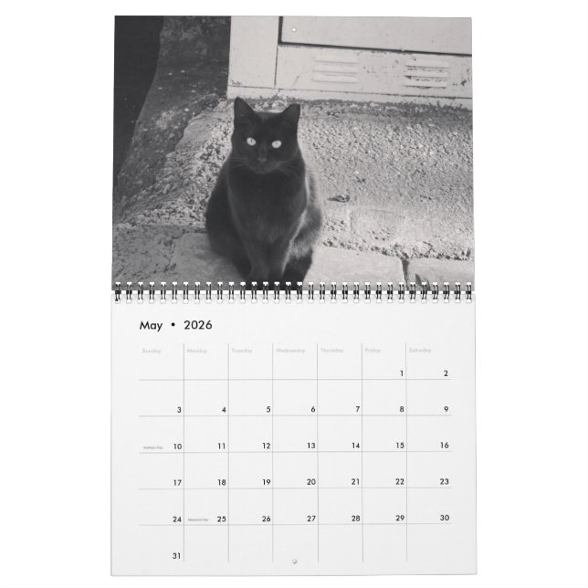 Katzen des ISTANBUL-Kalenders Kalender (Mai 2026)