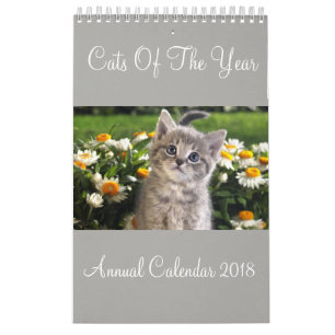 Katzen des Jahreskalenders 2018 Kalender