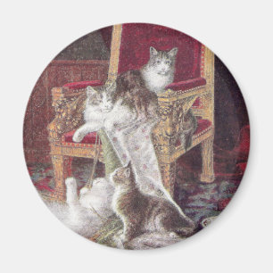 Katzen, die auf dem roten Samt-Stuhl Vintag Magnet