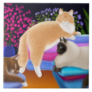 Katzen, die auf sauberer Wäscherei-Fliese Loungin Fliese