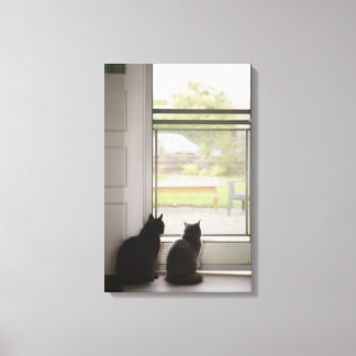 Katzen, die die Tür auf dem Bildschirm aussehen Leinwanddruck