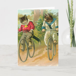 Katzen, die Fahrrad fahren Karte