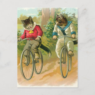 Katzen, die Fahrrad fahren Postkarte