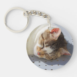 Katzen, die in einem Garten schlafen Schlüsselanhänger