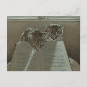 Katzen, die mir beim Lesen von Postkarten helfen
