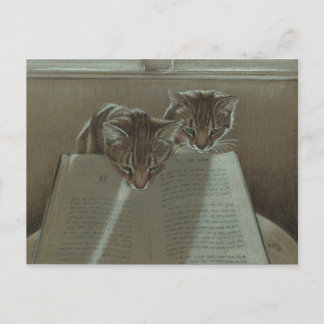Katzen, die mir beim Lesen von Postkarten helfen