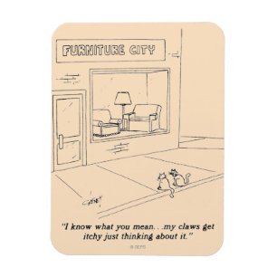 Katzen, die Möbel kratzen Magnet