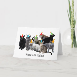 Katzen, die Party tragen, hassen Geburtstagskarte Karte