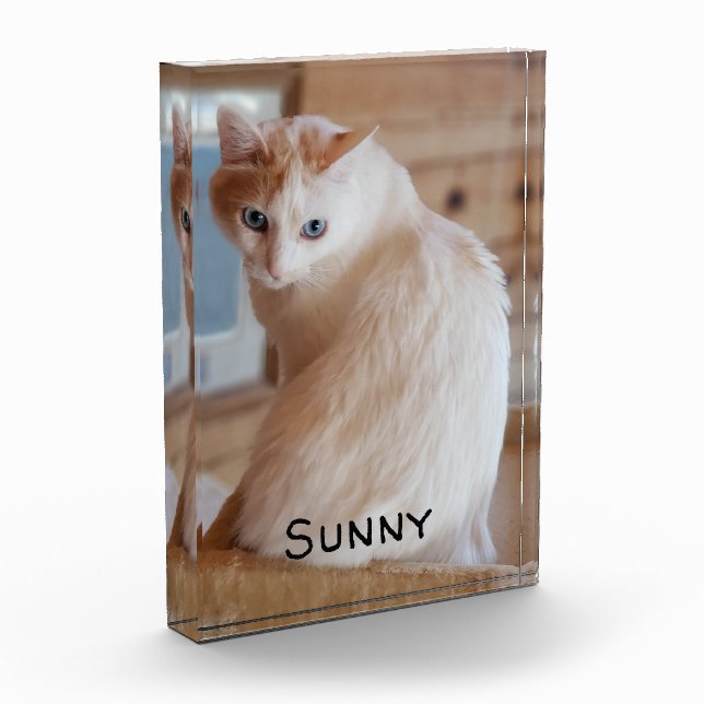 Katzen-Dogen-Vorname Vorlage Vertikal Fotoblock (Links)