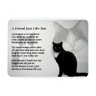 Katzen-Entwurfsfreund Gedicht-Magnet Magnet
