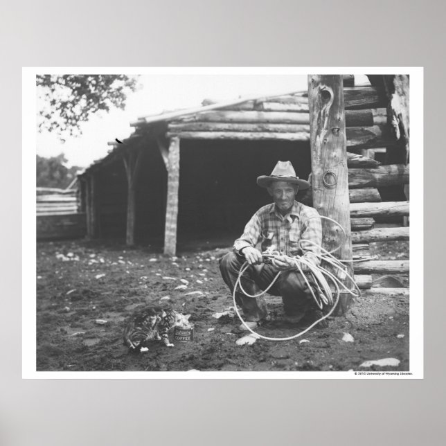 Katzen essen aus einer Kaffeemaschine Poster (Vorne)