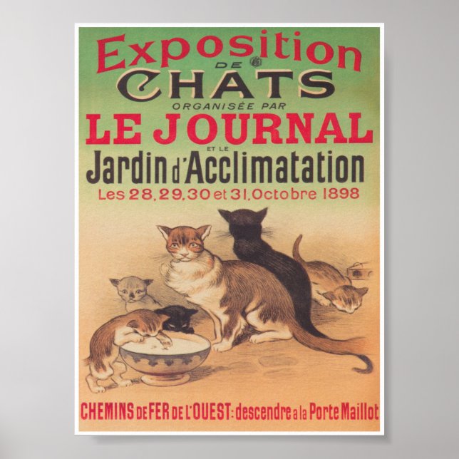 Katzen Exposition Werbung Vintage Poster (Vorne)