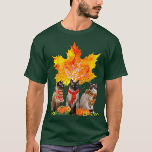 Katzen fallen Herbstleaf Tree Funny Cat Liebhaber T-Shirt