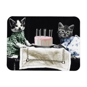 Katzen feiern einen Geburtstag mit Kuchen und Kerz Magnet