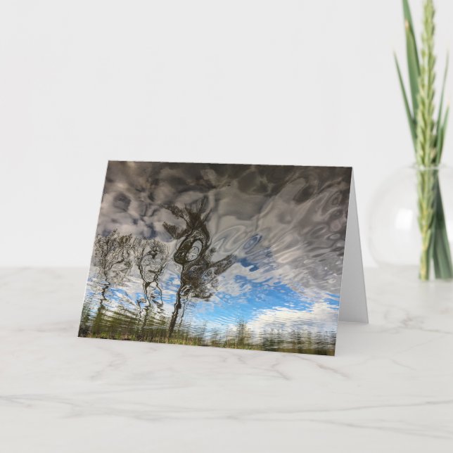 Katzen-Felsen-Baum-leere Karte (Vorderseite)