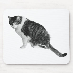 Katzen-Fokus-Mauspad unterstützt ruhigen Arbeitsal Mousepad