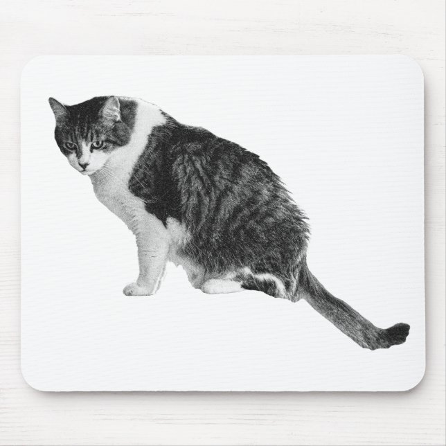 Katzen-Fokus-Mauspad unterstützt ruhigen Arbeitsal Mousepad (Vorne)