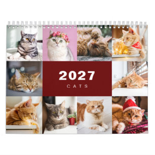 Katzen-Foto-Collage Moderne 2025 Kalender