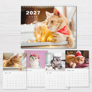 Katzen Foto Moderne 2027 Kalender