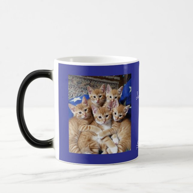 Katzen-Foto-Muster, Tasse (Links)