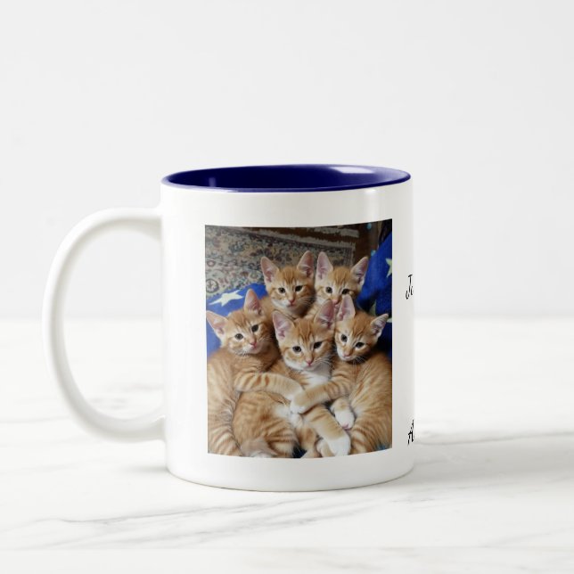 Katzen-Foto-Muster, Tasse (Links)