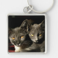 Katzen Foto Schlüsselring