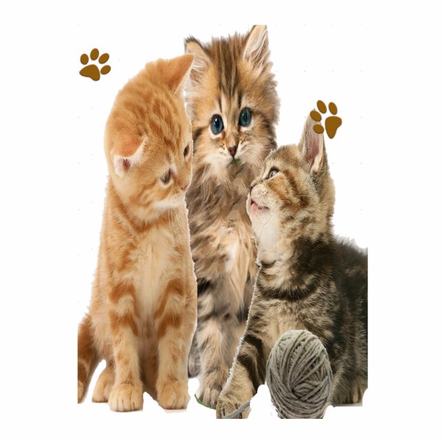 Katzen Fotoskulptur Schlüsselanhänger (Vorne)