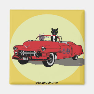 Katzen-Freude-Reitquadrat-Magnet Magnet