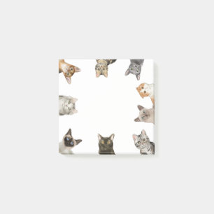 Katzen   Funny Cat Lover Post-it Klebezettel