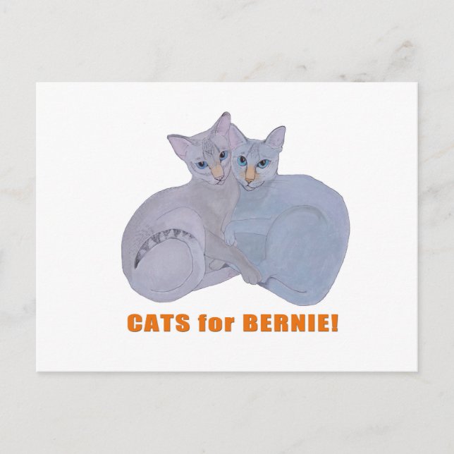 Katzen für Bernie! Postkarte (Vorderseite)