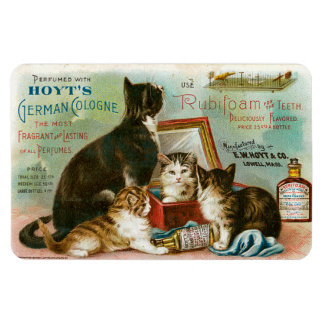 Katzen für Hoyt Magnet