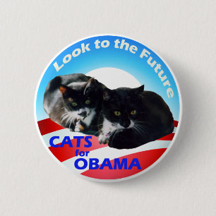 Katzen für Obama Button