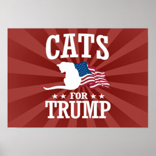 KATZEN FÜR TRUMP POSTER