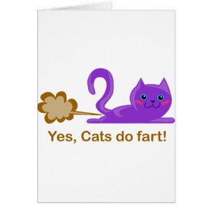 Katzen-Furz - farting Katze