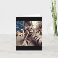 Katzen-Gangster-Straßenkatzen-Selfie-Lustiges-Meme