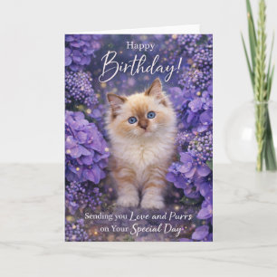 Katzen-Geburtstagskarte – Süße Katze & violette Bl Karte