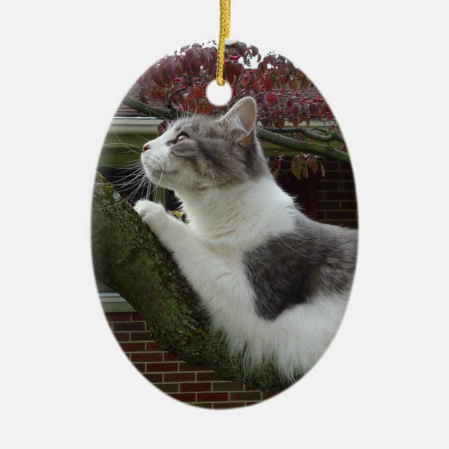 Katzen-Gedanken Keramik Ornament (Vorne)