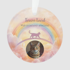 Katzen-Gedenk-Acrylschmuck Regenbogenbrücke Ornament