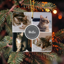 Katzen-Gedenk-Andenken 4 Foto-Collage-Zitat