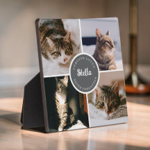 Katzen Gedenk Verlust 4 Foto Collage Zitat Andenke