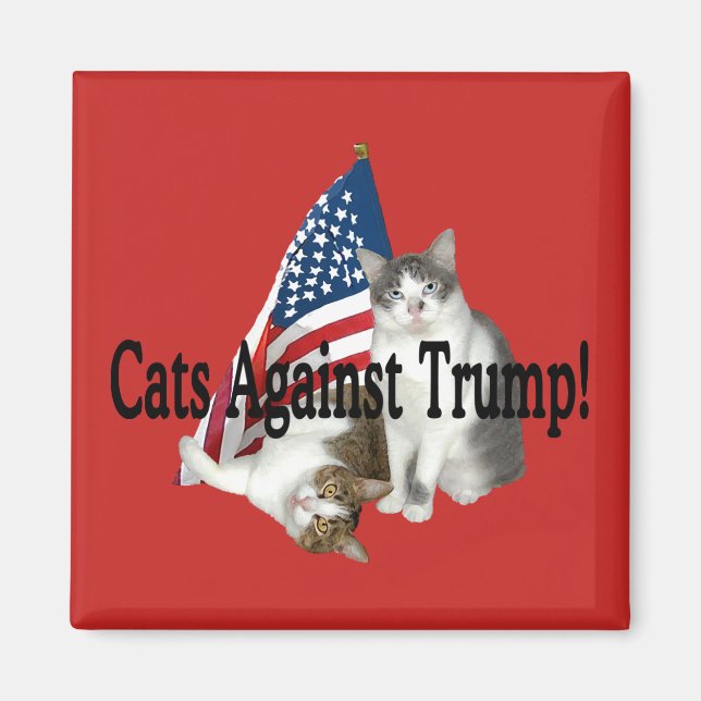 "Katzen gegen Trump"-Magnet Magnet (Vorne)