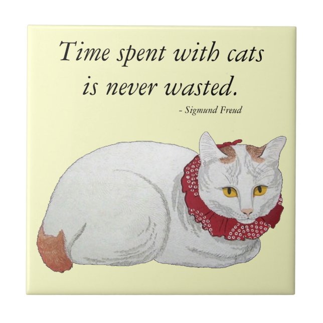Katzen-Geschenk-Kachel Fliese (Vorderseite)