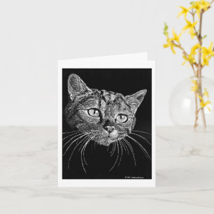 Katzen-Gesicht-Kratzbrett-Zeichnungskarte  Karte