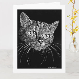 Katzen-Gesicht-Kratzbrett-Zeichnungskarte   Karte